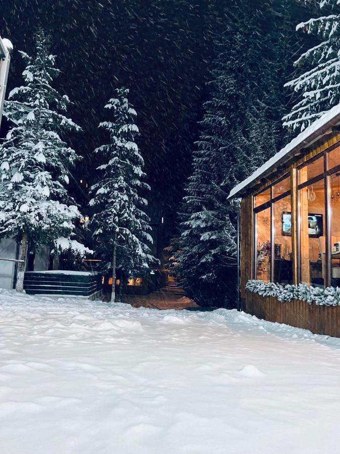 Cabana Din Poienita โปยานาบราซอฟ ภายนอก รูปภาพ
