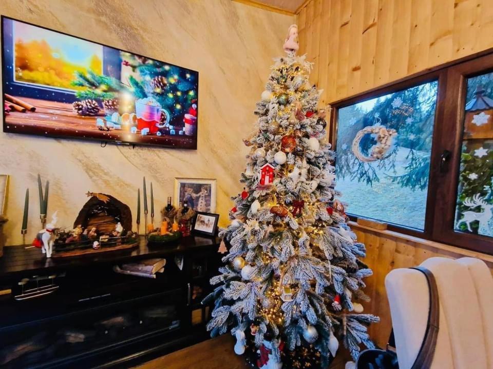 Cabana Din Poienita โปยานาบราซอฟ ภายนอก รูปภาพ