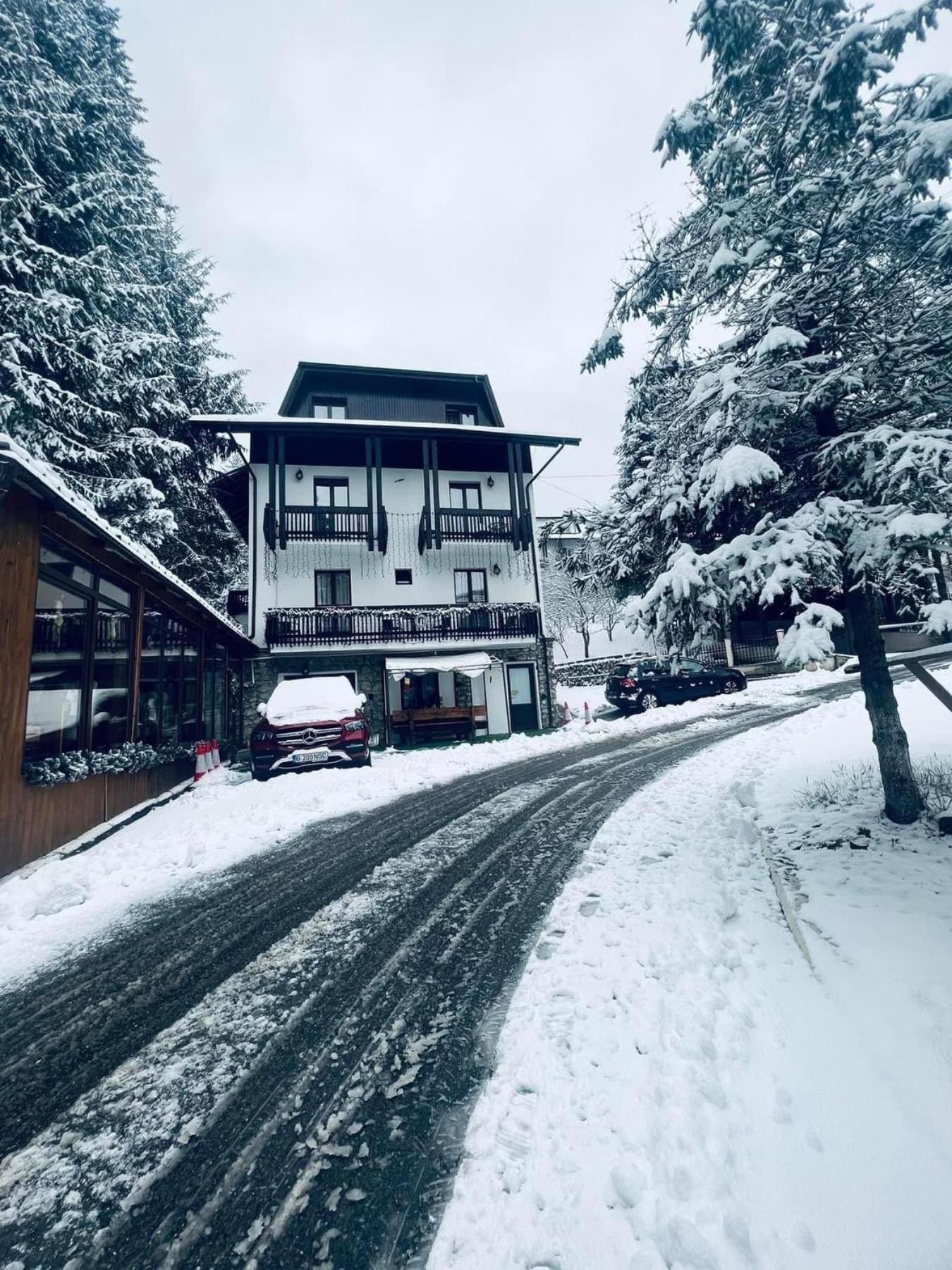 Cabana Din Poienita โปยานาบราซอฟ ภายนอก รูปภาพ